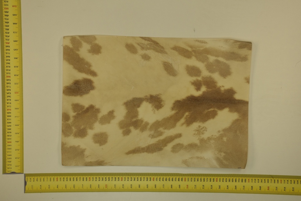 Formato moteado 53 X 37 2ª ID.001