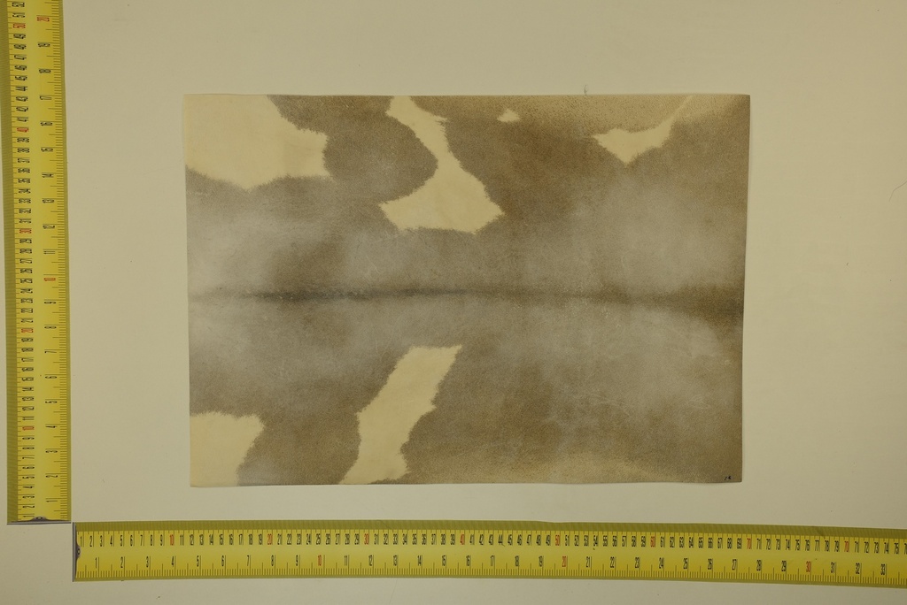 Formato moteado 53 X 37 2ª ID.037