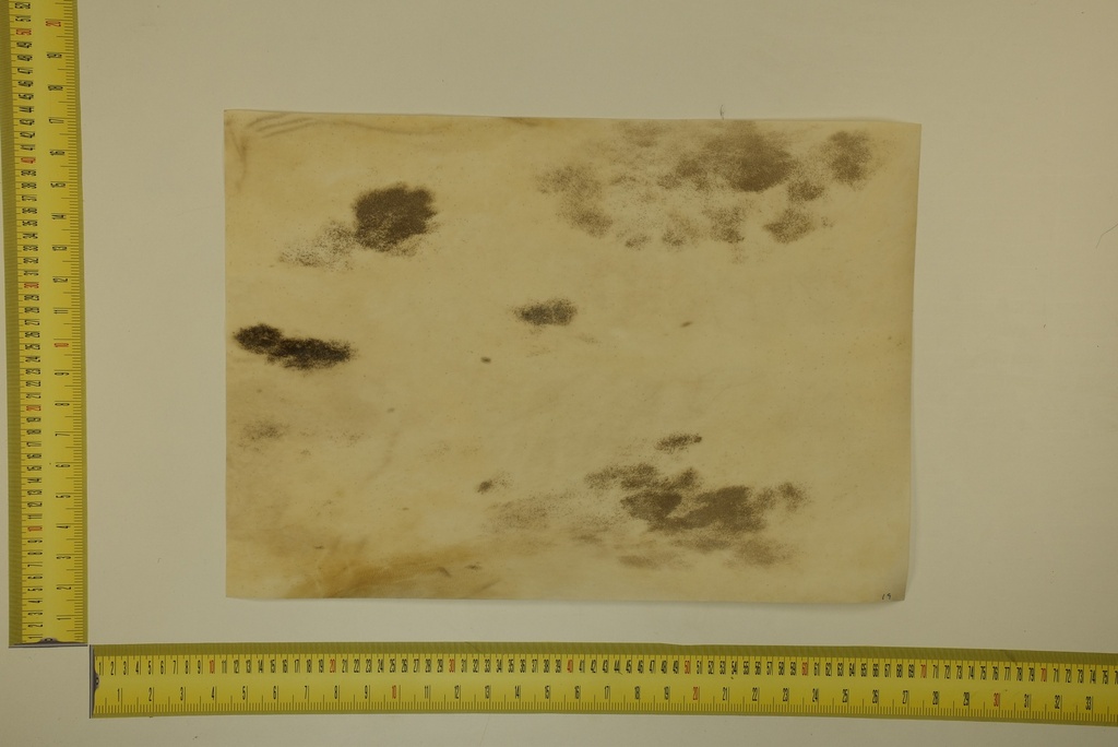 Formato moteado 53 X 37 2ª ID.052