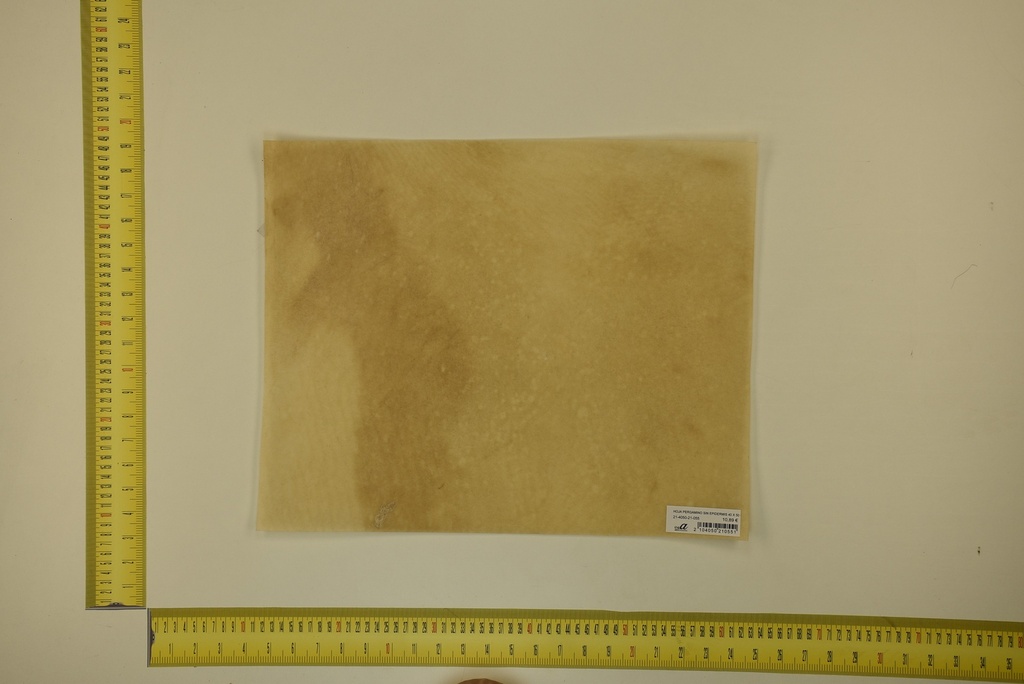 Hoja de pergamino impresión digital 30 x 40 Cm ID.055