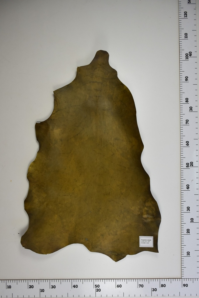 Pergamino tintado verde oliva 30-000-01-05