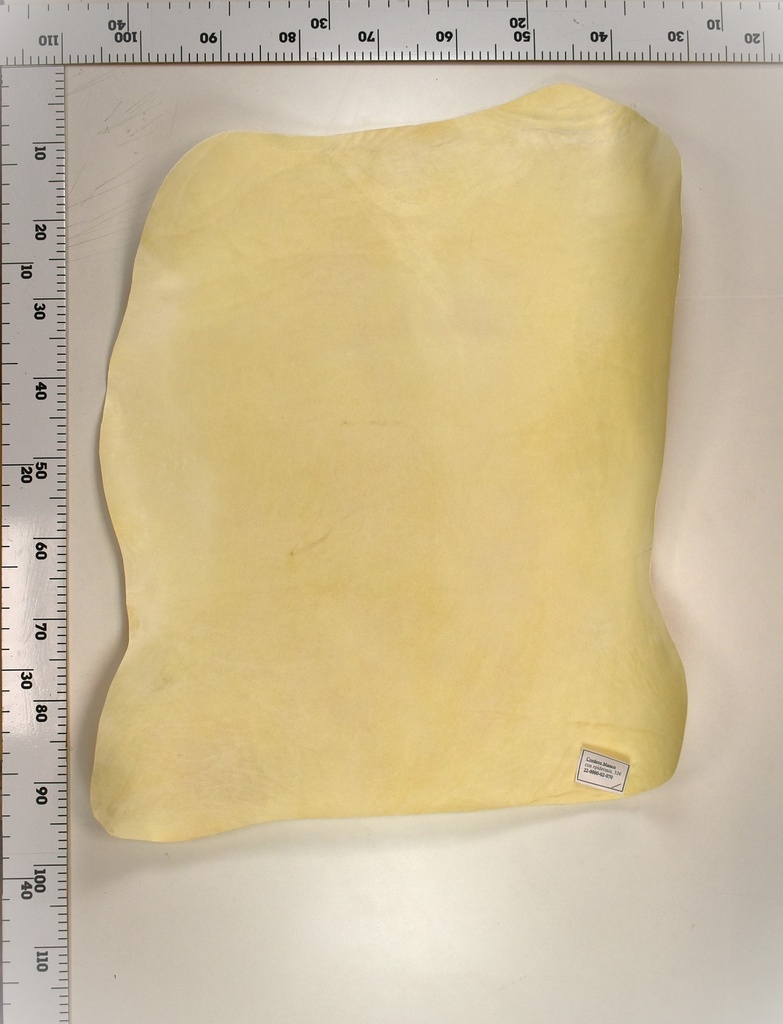 Cordero Blanco 22-0000-02-070