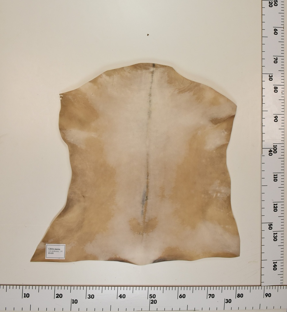 Cabrito Marrón ID035