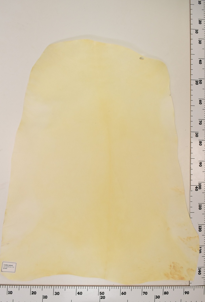 Cordero Natural ID047