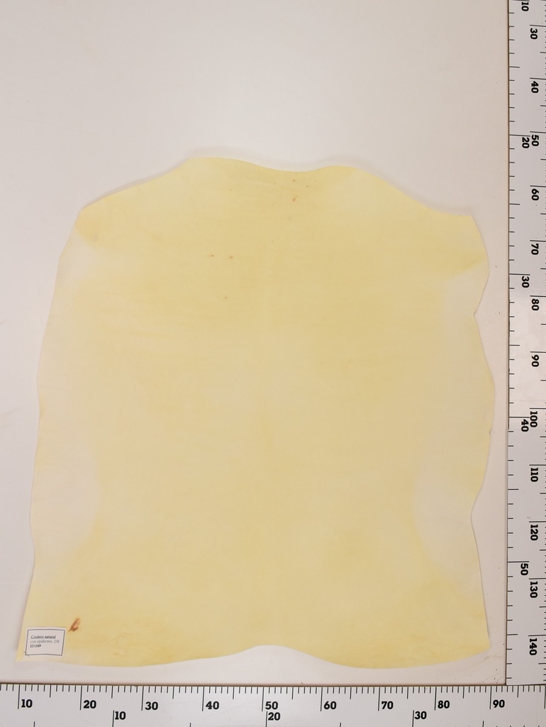 Cordero Natural ID049