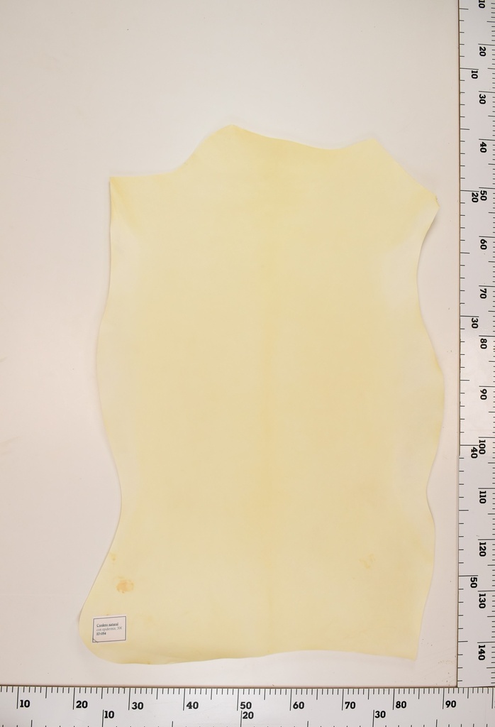 Cordero Natural ID054