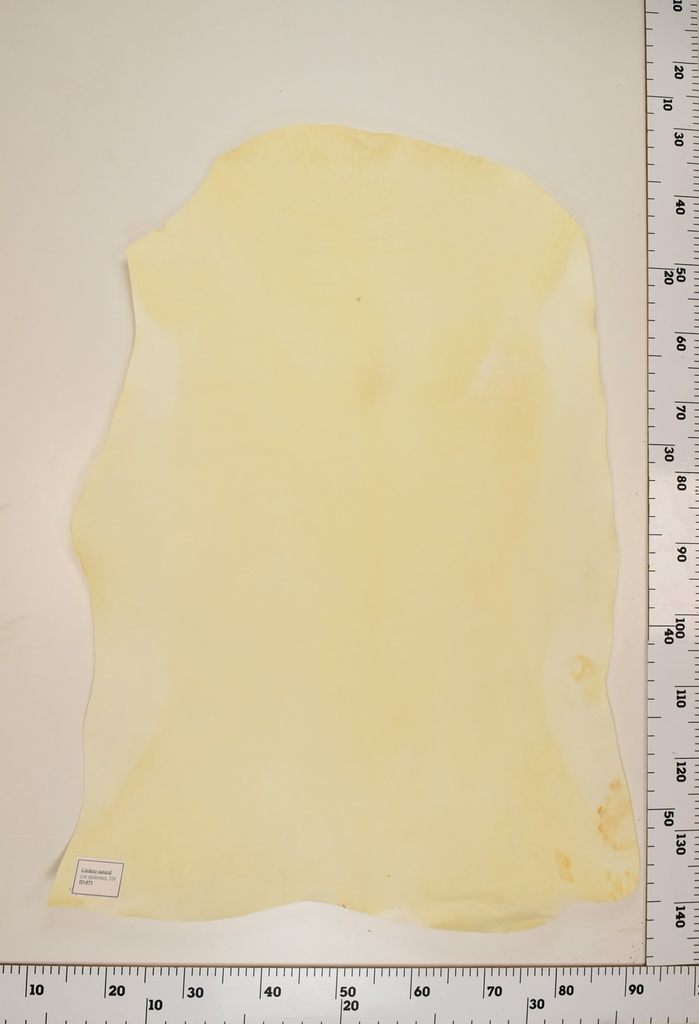 Cordero Natural ID073