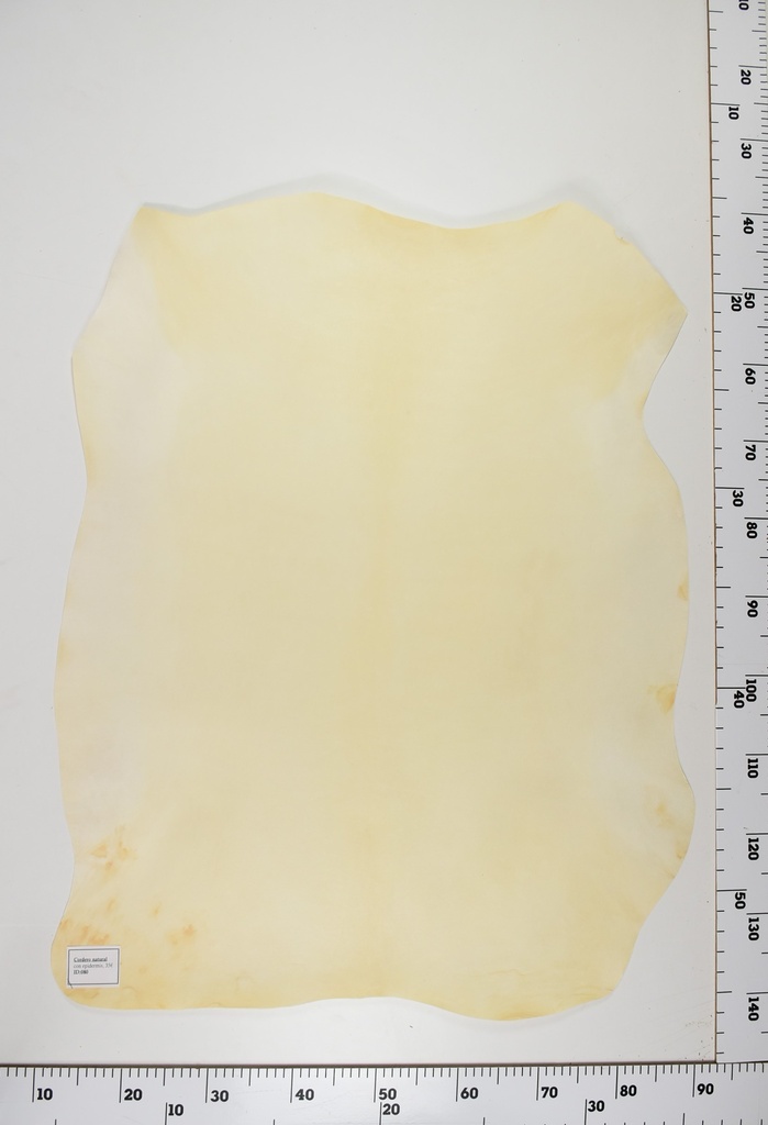 Cordero Natural ID080