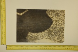 [22-5337-26-004] Formato moteado 53 X 37 2ª ID.004