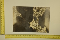 [22-5337-26-033] Formato moteado 53 X 37 2ª ID.033