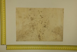 [22-5337-26-047] Formato moteado 53 X 37 2ª ID.047