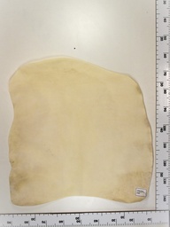 [23-0001-003] Cordero blanco impresión digital ID:003