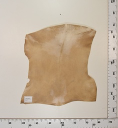 [24-0001-002] Cabrito Marrón ID002