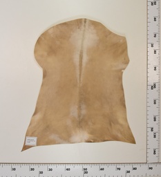 [24-0001-004] Cabrito Marrón ID004