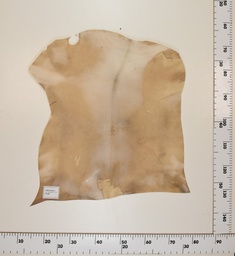 [24-0001-008] Cabrito Marrón ID008