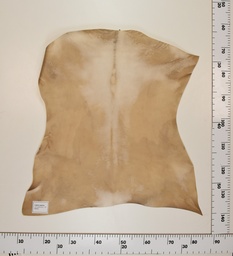 [24-0001-011] Cabrito Marrón ID011