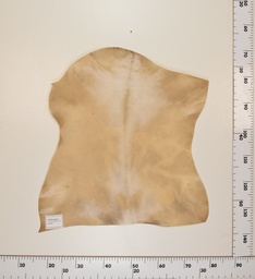 [24-0001-014] Cabrito Marrón ID014