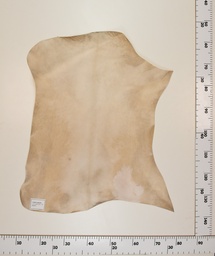 [24-0001-017] Cabrito Marrón ID017