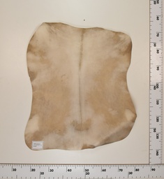 [24-001-022] Cabrito Marrón ID022