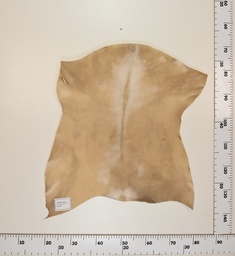 [24-0001-0347] Cabrito Marrón ID034