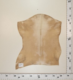 [24-0001-038] Cabrito Marrón ID038