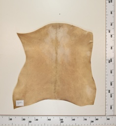 [24-0001-040] Cabrito Marrón ID040