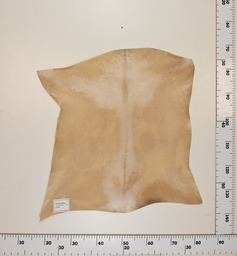 [24-0001-041] Cabrito Marrón ID041