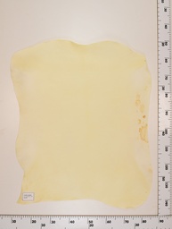 [22-0001-00-039] Cordero Natural ID039