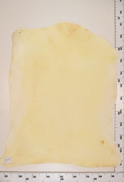 [22-0001-00-058] Cordero Natural ID058