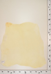 [22-0001-00-068] Cordero Natural ID068