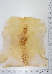 [22-0001-14-003] Cordero Envejecido ID003