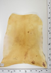 [22-0001-14-023] Cordero Envejecido ID023