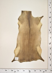 [22-0001-17-012] Cordero Negro ID012