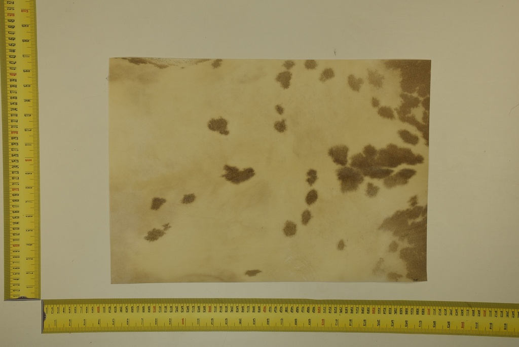 Formato moteado 53 X 37 2ª ID.040