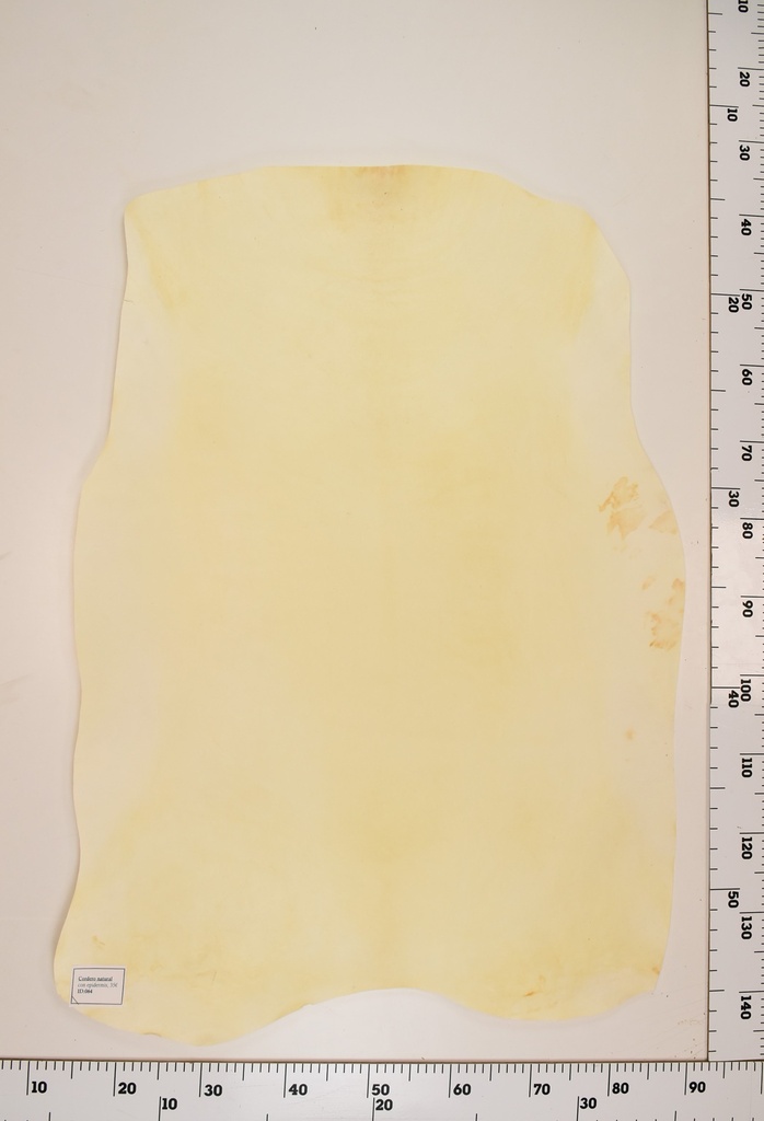 Cordero Natural ID064