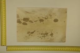 [22-5337-26-005] Formato moteado 53 X 37 2ª ID.005