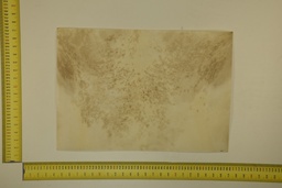 [22-5337-26-021] Formato moteado 53 X 37 2ª ID.021