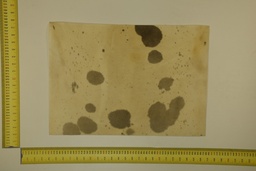 [22-5337-26-025] Formato moteado 53 X 37 2ª ID.025