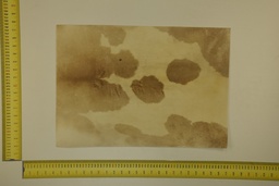 [22-5337-26-028] Formato moteado 53 X 37 2ª ID.028