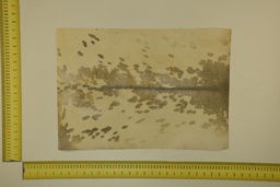 [22-5337-26-036] Formato moteado 53 X 37 2ª ID.036