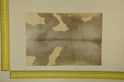 [22-5337-26-037] Formato moteado 53 X 37 2ª ID.037