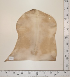 [24-001-018] Cabrito Marrón ID018