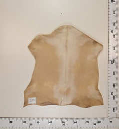 [24-0001-039] Cabrito Marrón ID039