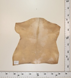 [24-0001-048] Cabrito Marrón ID048