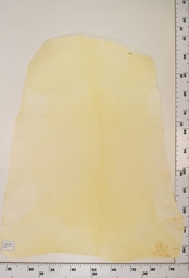 [22-0001-00-047] Cordero Natural ID047