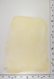 [22-0001-00-081] Cordero Natural ID081