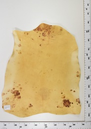 [22-0001-14-006] Cordero Envejecido ID006