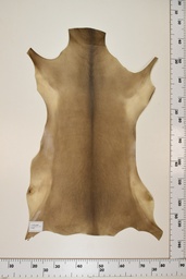 [22-0001-17-027] Cordero Negro ID027